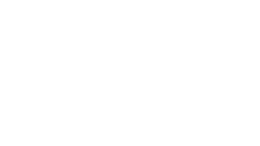 Vister Drones