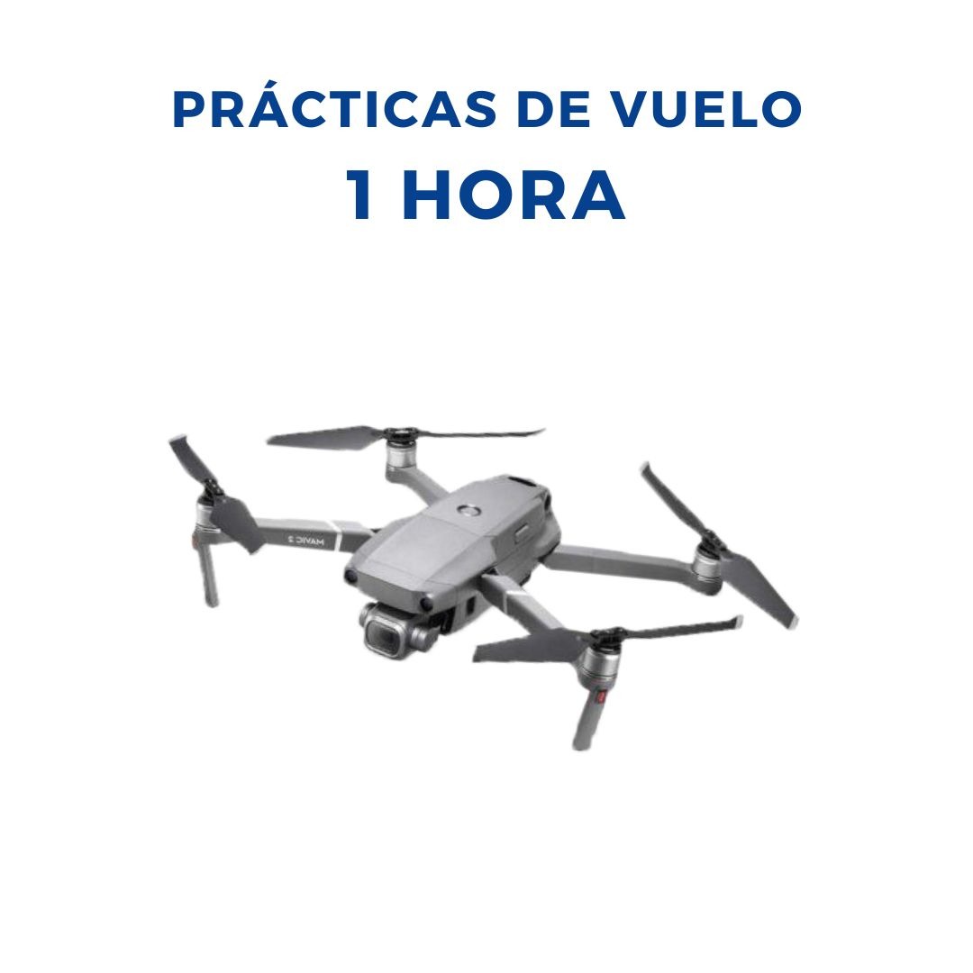 1h de vuelo práctico