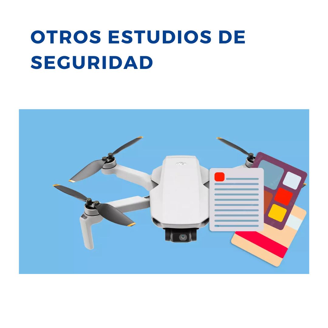 Otros estudios de seguridad